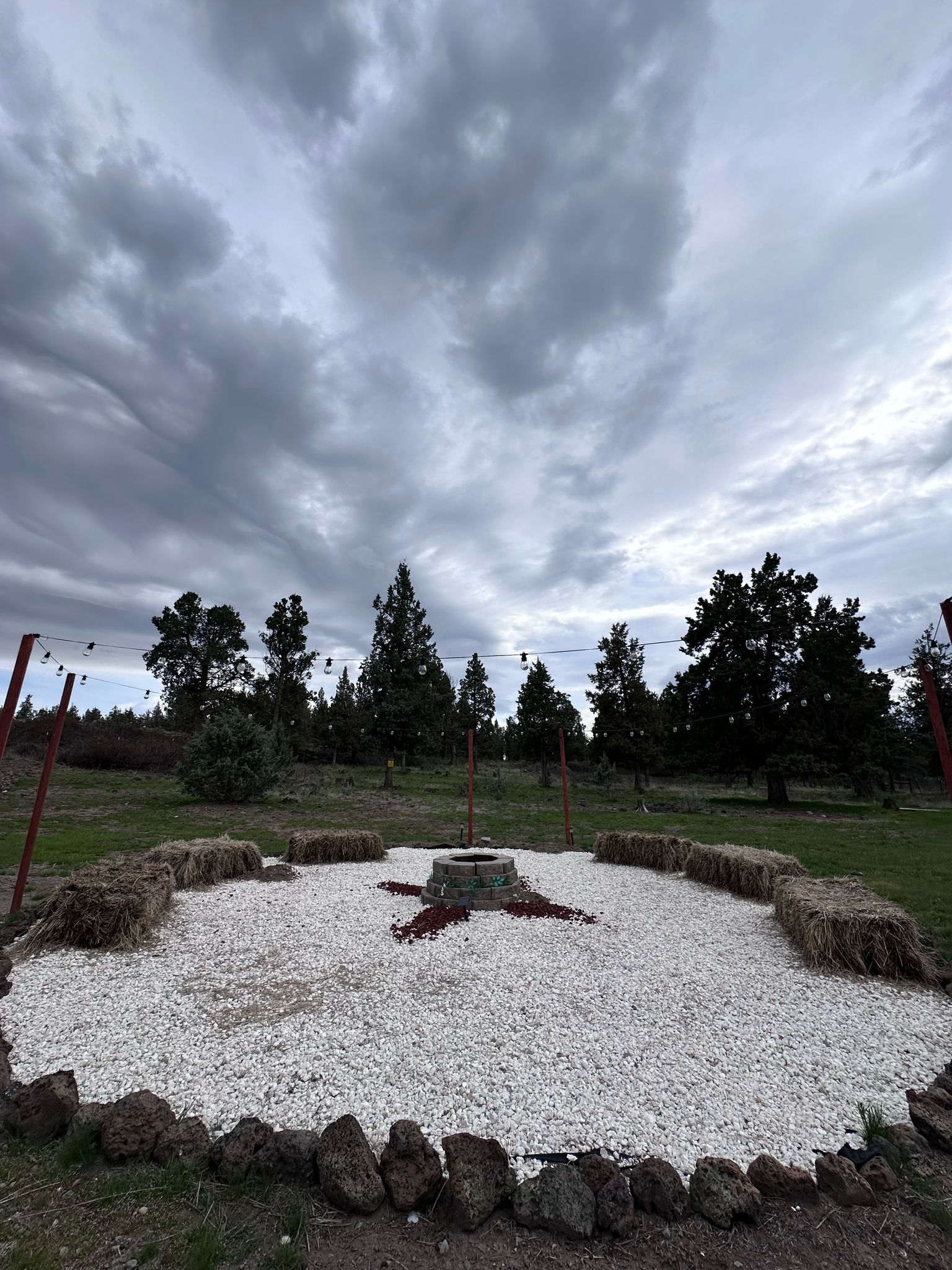 gallery grid image